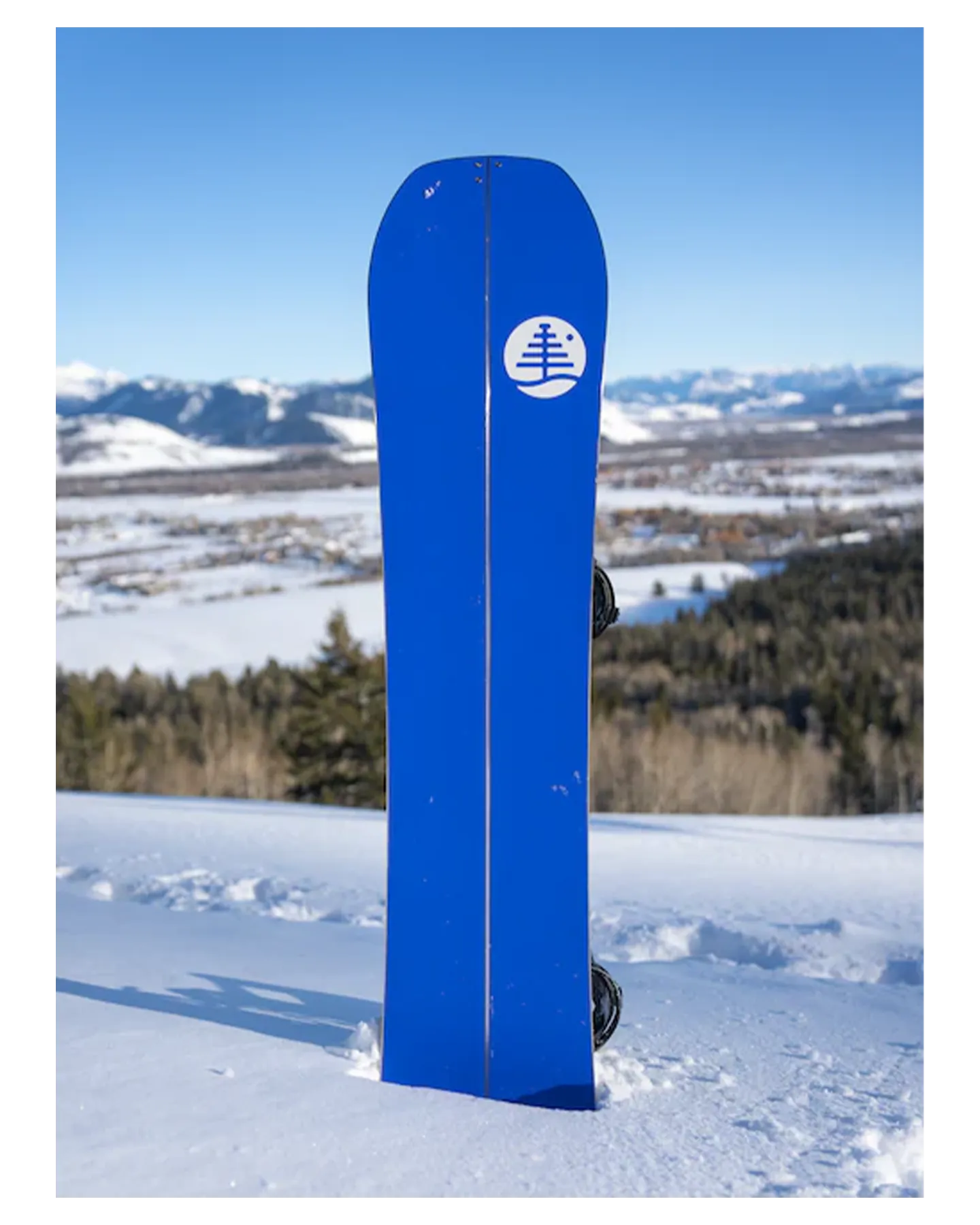 Burton Family Tree Hometown Hero Camber SplitBoard 2024 | Snowboards | Snow Skiers Warehouse