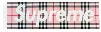 Supreme Burberry Box Logo Sticker Pink