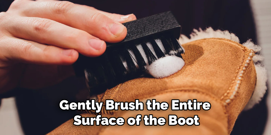 Gently Brush the Entire 
Surface of the Boot